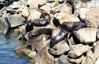 Morro Bay