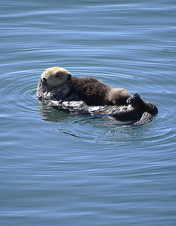 Morro Bay
