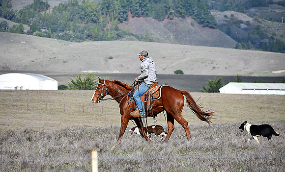 Hearst Ranch, San Simeon