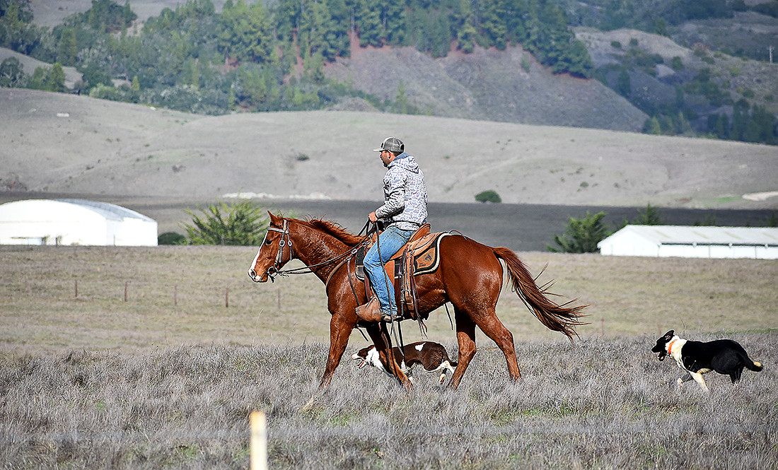 Hearst Ranch, San Simeon
