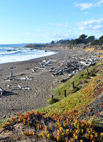 Moonstone Beach, Cambria