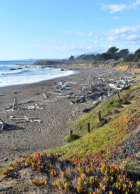 Moonstone Beach, Cambria