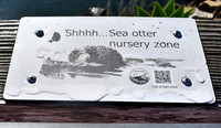 Morro Bay