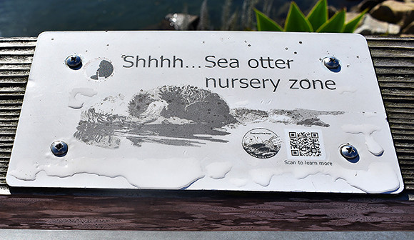 Morro Bay