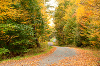 AutumnScapes