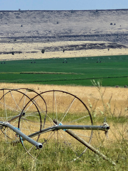 Jefferson County, OR 44*78'N 121*08'W