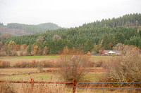 Hwy 20 West of Corvallis, OR 44*56'N 123*40'W