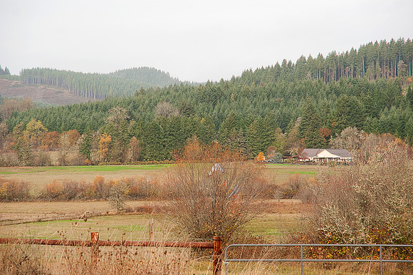 Hwy 20 West of Corvallis, OR 44*56'N 123*40'W