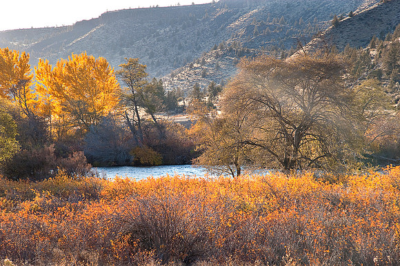 Hwy 26 Deschutes River Warm Springs, OR 44*76'N 121*27'W