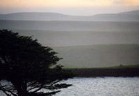 OceanScapes