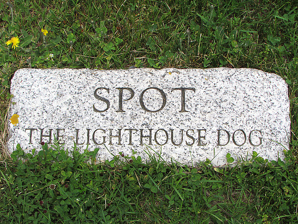 RIP Spot   Owl's Head, ME 44*5'N 69*2'W