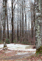 44 Degrees Latitude North~Vermont