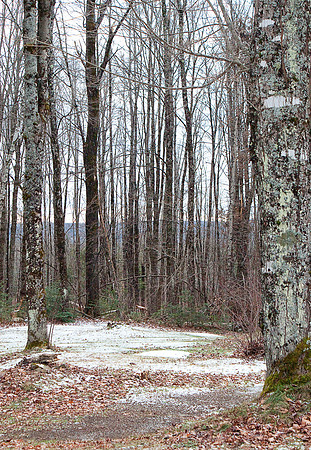 Sheffield, VT 44*38'N 72*07'W